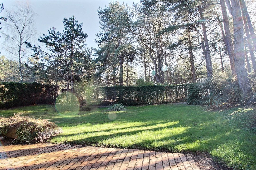 /picture/helios/116215201/34 BRUYERES/12_2026-02-24CET16h00-10.jpg